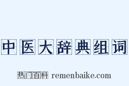 中医大辞典组词是什么意思的图片